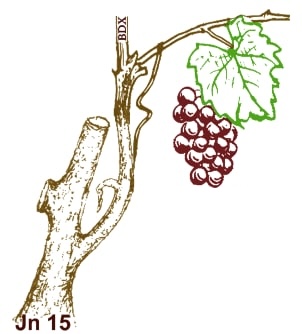 INTERNATIONAL MINISTRY